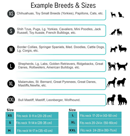 Friendship Collar and Bracelet Set